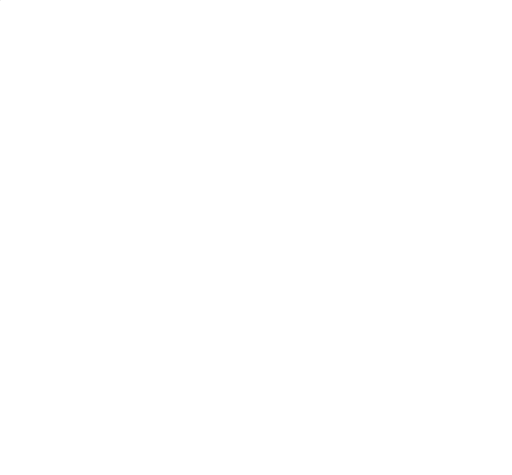 Welvaart Solutions logo in Sri Lanka